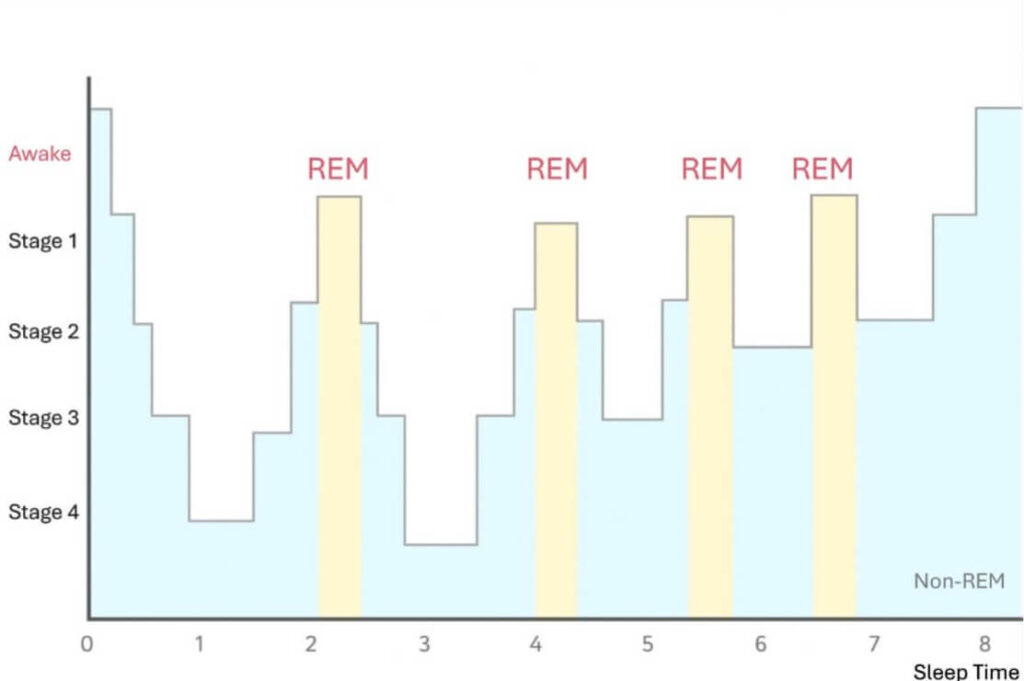 수면 주기 그래프